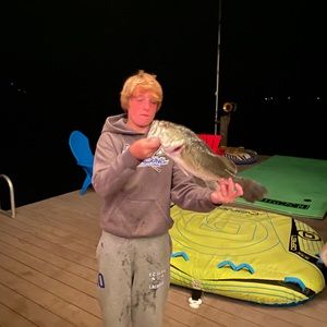 Meet your Posher, Harrington